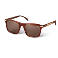 Ridgeline Whiskey Brown Tortoise
