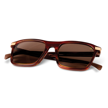 Ridgeline Whiskey Brown Tortoise